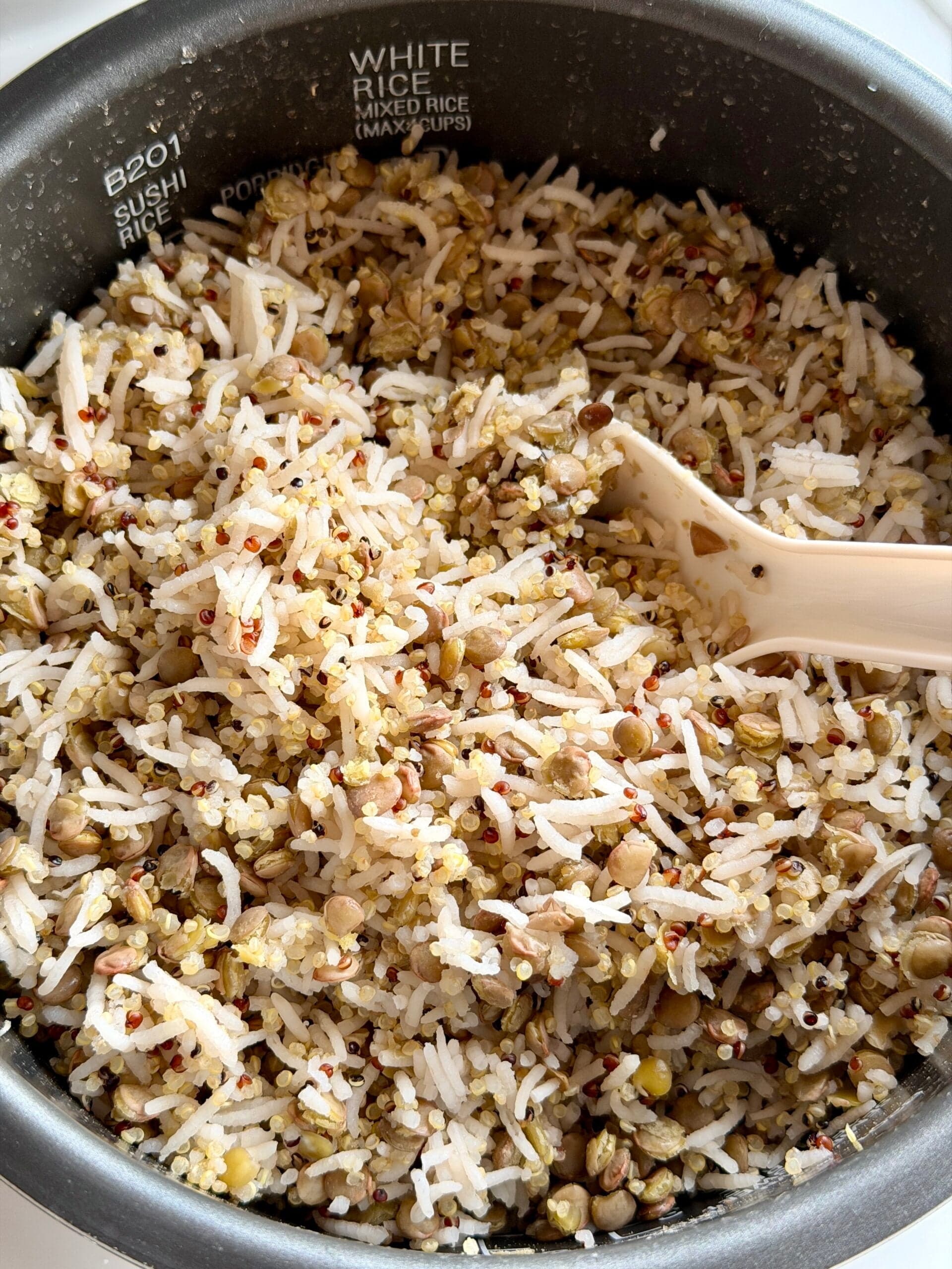 Riz lentilles quinoa high-protein
